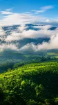 普洱雲逸·臻悅ガーデンホテル - マウンテンビュー