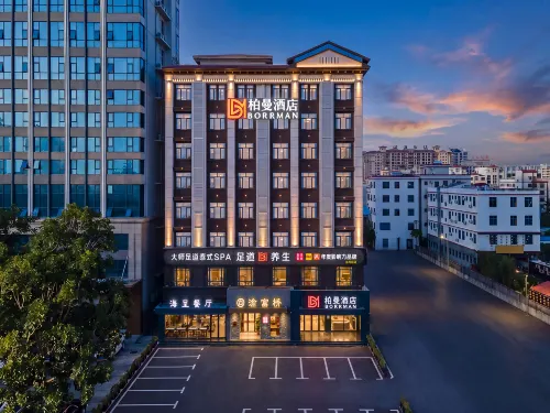Borrman Hotel (Dongfang High-speed Railway Station Wanda Plaza) - Haustierfreundliche