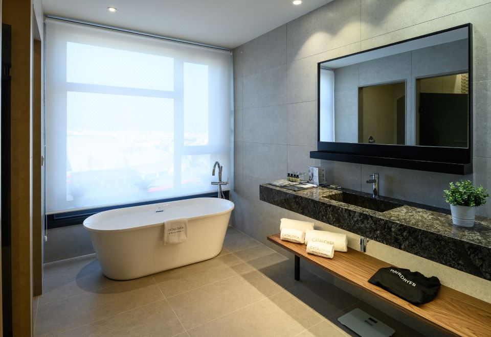 Catalonia Grand Place Over view