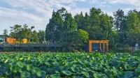 Jiangyou Cuiwei Countryside Homestay