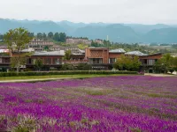 彌勒東風藝宿（東風韻景區店） 彌勒住宿飯店
