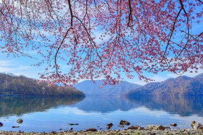 ホテル周辺 亀の井ホテル 奥日光湯元の写真