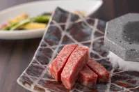 Aonokotei Biwafront Hikone Hotels in Hikone