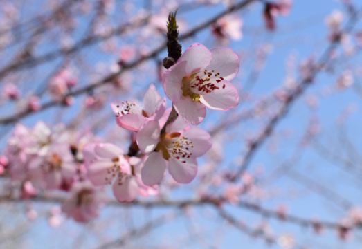 홀리데이 인 다롄 핫 스프링 바이 IHG