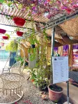Angkor Piseth Homestay Hotels in 