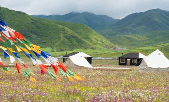 Black Tent Ranch (Xiahe)