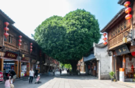 鉑E飯店（福州三坊七巷五一廣場店）