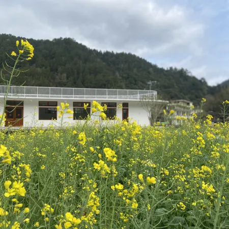 Dehua Rice Yard (Zengban village shop)Dehua Rice Yard (Zengban village shop)