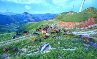 Minghua Farm Stay (Longsheng) - Updated Prices, Reviews, Photos & Deals ...