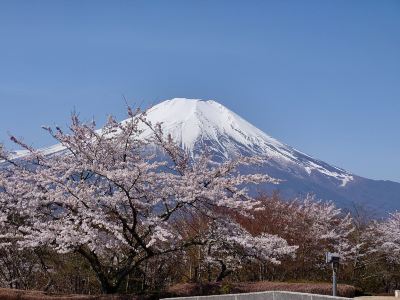 庭 ホテルマウント富士の写真