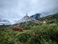 Danba Qingfeng Yaju Homestay - Scenic