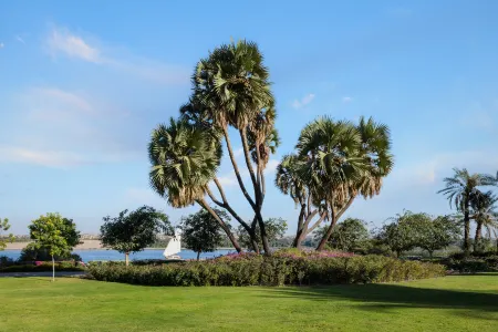 MGM Wellness Retreat Отели в г. New Aswan