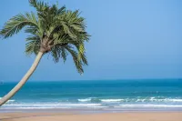 Shanhai·Jianchen Homestay (Huangqi Housha Beach) - Beach