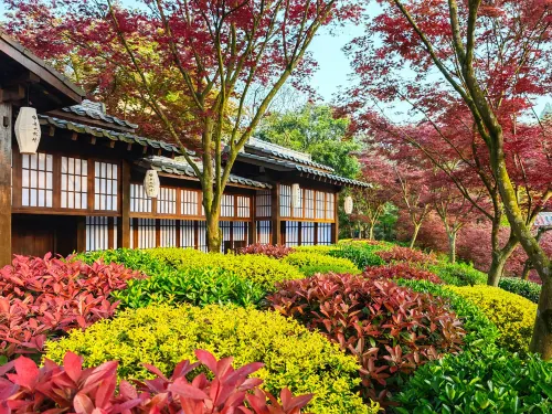 Dujiangyan No Secret Realm Homestay Hotels in Dujiangyan City