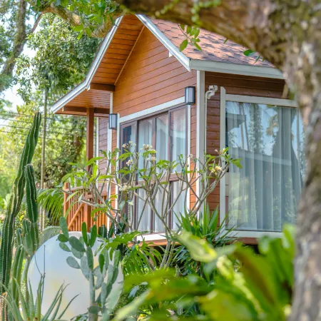 THE FOREST B&BS