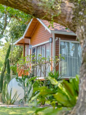 THE FOREST B&BS