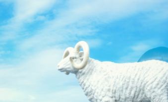 Longyin Cangshanxiao Hotel (Jiuhuang Mountain Rear Scenic Area)