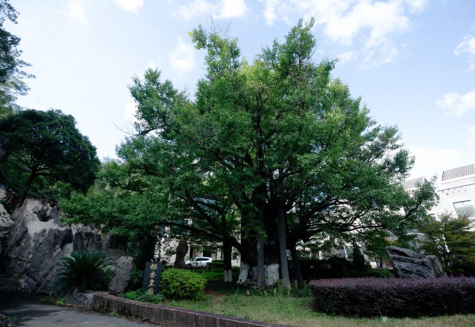 징코 퀸 호텔 실내 놀이터