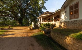 Clodagh Manor House by Seven Angels