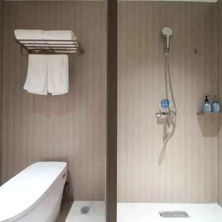 Hanting Hotel ((Home Inn Liaocheng Yanggu Shizilou Xicheng Road Branch)
