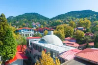 Song Jian Ballad · BROOK PINE Forest Oxygen Mountain Residence Hotel Hotels in Lushan City