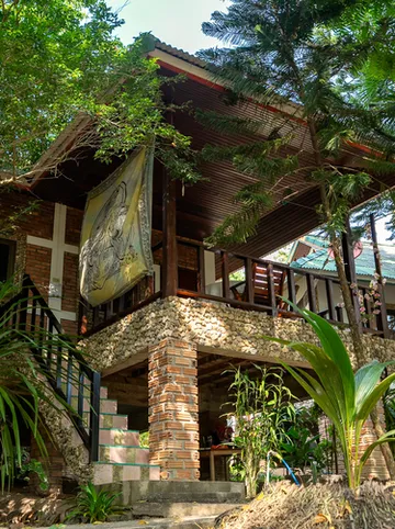 รูปภาพของป่าเซน