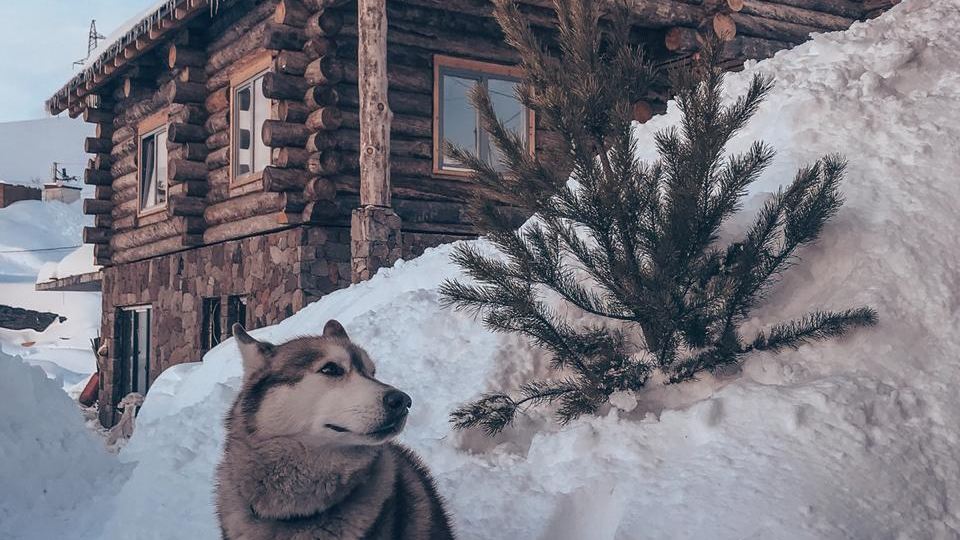 Alpine Chalet Pinewood