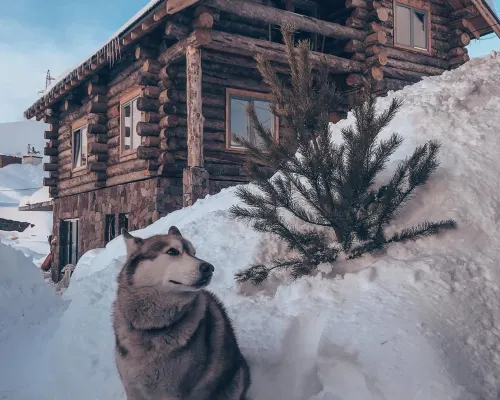 Alpine Chalet Pinewood Hotel a Gudauri