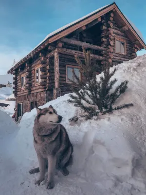 Alpine Chalet Pinewood