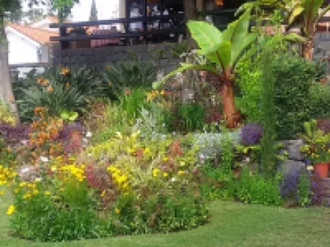 Garajau Madeira Hotel Hotels near Palheiro Golfe