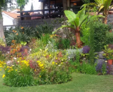 Dom Pedro Garajau Hotels in 