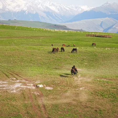 Kalajun Xingye Lanting Grasslands Homestay
