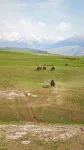 Kalajun Xingye Lanting Grasslands Homestay - Romantisk