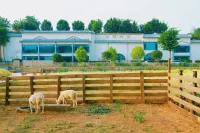 Yunmeng Lanyue Homestay - Mountain view