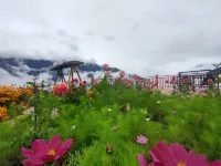 Danba Yunting Time Inn (Jiaju Village No. 5 Observation Deck Store)