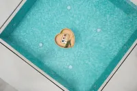 Xingshantang Guesthouse