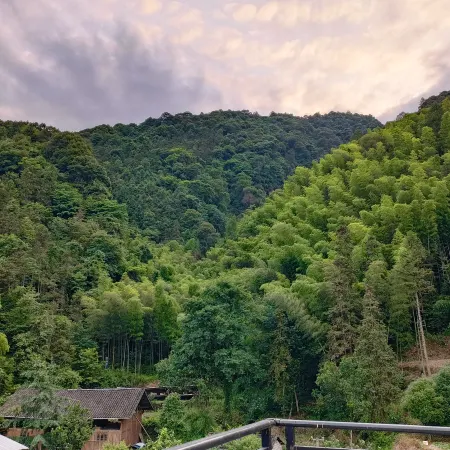 Fanjingshan-Chuanshang language mountain dust-free accommodation (Dongmen shop in the scenic spot)