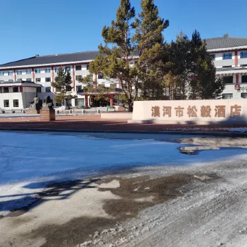 Mohe Songyi Hotel (Arctic Village)