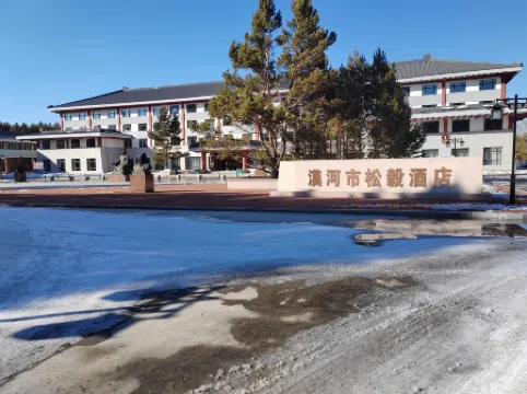 Mohe Songyi Hotel (Arctic Village)