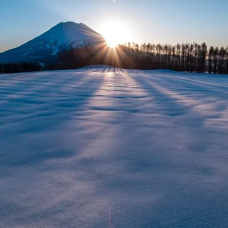 Niseko Inn of Youtei Raku Suisan