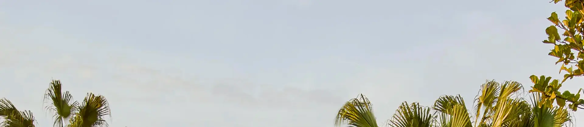 Luxury Hotels