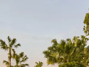 Khách sạn sang trọng 6 Hàng Đầu Tại Hạ Môn