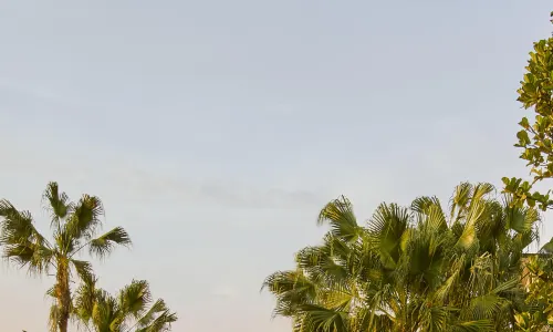 Lohkah Hotel & Spa