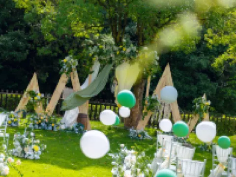 Springs Resort Hotels in Chibi