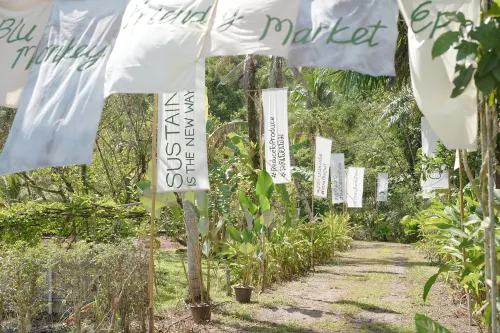 Blu Monkey Pooltara Krabi Hotel & Villas Pet Friendly Hotel a Distretto di Ao Luek