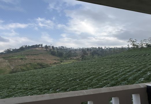 푼착 다라잣 하이랜드