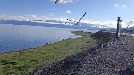 Pu'er Zangfu Holiday Hotel