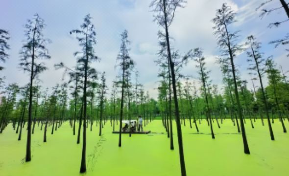 YIXING SHUIMO HENTIQUE RESORT