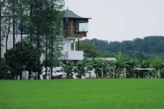 野小院（崖口店） 孫中山故居/崖口村酒店