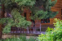 Wohu · Guanxue Mountain · Kanas Lake Panoramic Homestay (Kanas Lake Branch) Hotels near Xinjiang Kanas National Geopark